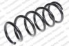 LESJ?FORS 4049107 Coil Spring